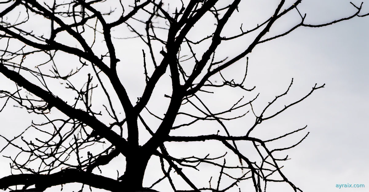 A bare tree branch silhouette against a bright overcast sky