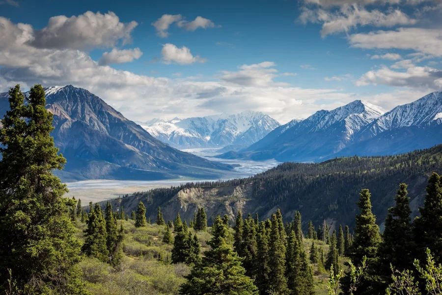 Patagonia