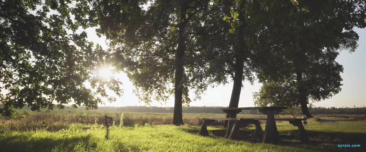 A group picnic in a sunny park - a phone-free event, the new radical act