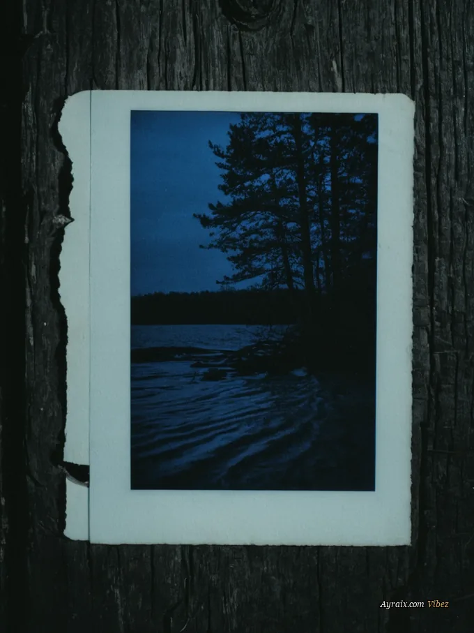 A polaroid with its corner torn off lying on dark wet wood, the image inside faded to grey.